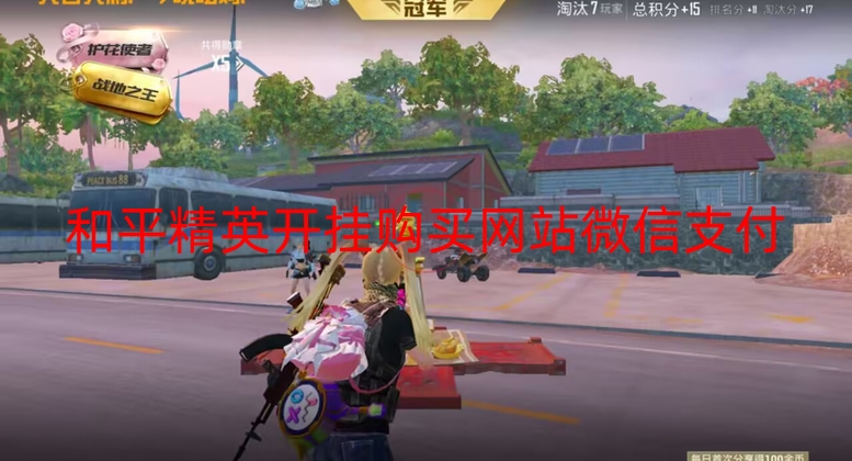 和平精英开挂购买网站微信支付-和平直装【