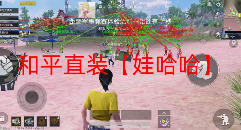 和平精英开挂怎么开ios-和平直装【娃哈